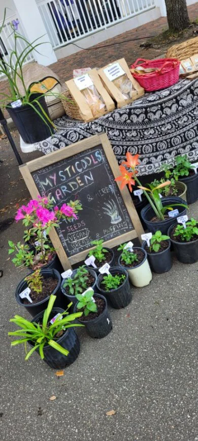 The front of Mysticools Garden's booth featuring a chalkboard sign, potted plants, a patterned tablecloth, and bags of tea.