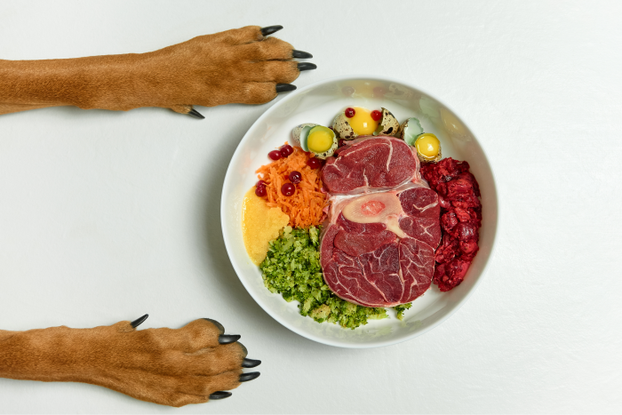 A plate of fresh dog food with dog paws on either side.