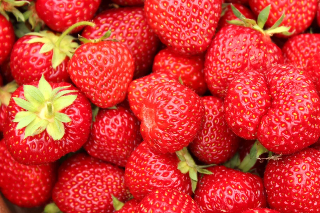 Fresh bunch of strawberries.